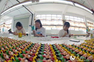 广西三江 就业安置助脱贫，搬家服务暖心行